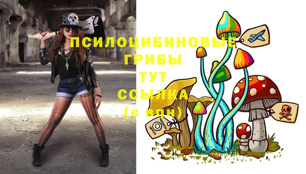 бутират Алексеевка