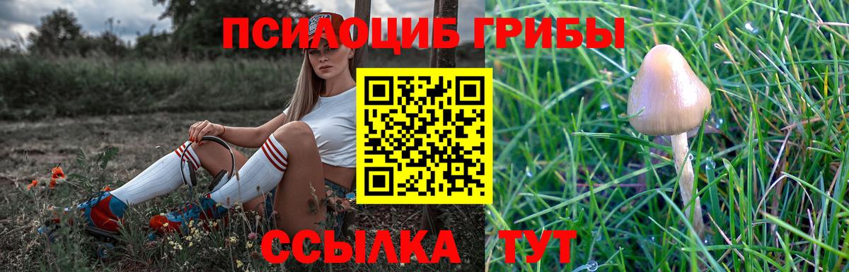 Галлюциногенные грибы ЛСД Кыштым