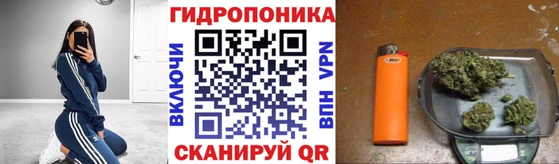продажа наркотиков  Кыштым  Шишки марихуана гибрид 